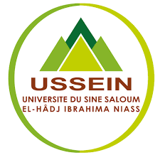 USSEIN Logo